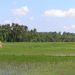 2005_indonesiatrip_237_2